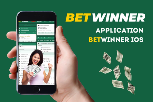 Exciting Gameplay with Betwinner Aviator Your Ultimate Guide