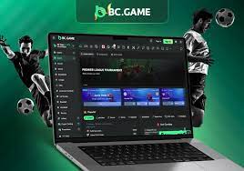 The Evolution and Experience of Using the App Bc Game