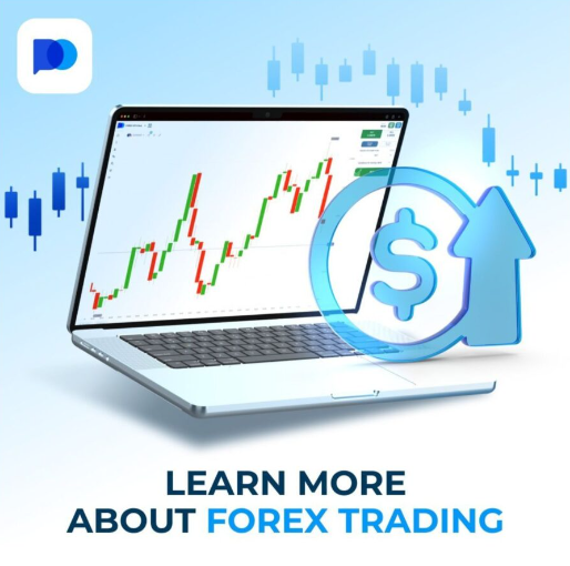 Exploring the Dynamics of Pocket Option Broker